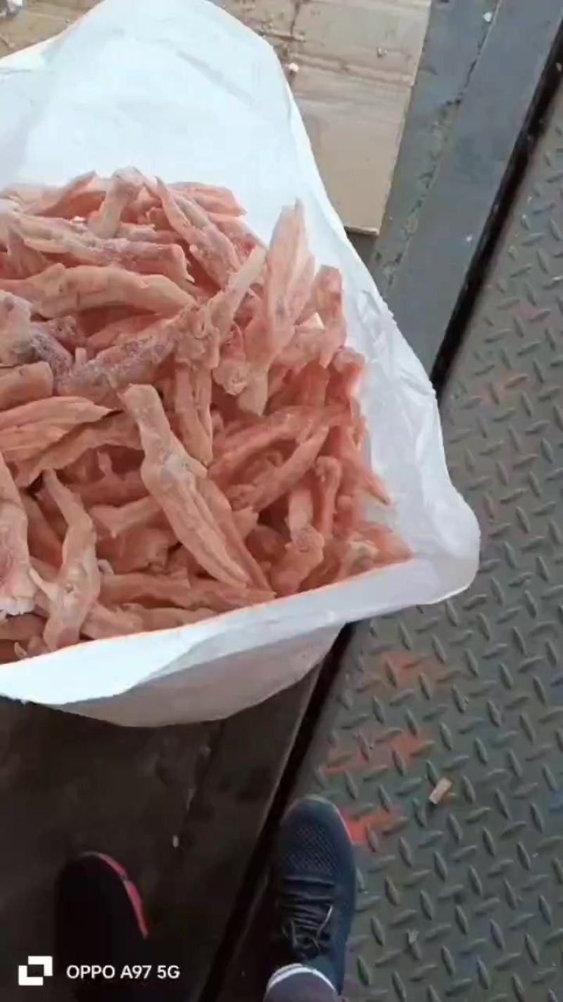 二级鸭掌