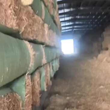 小麦秸秆柔丝套袋