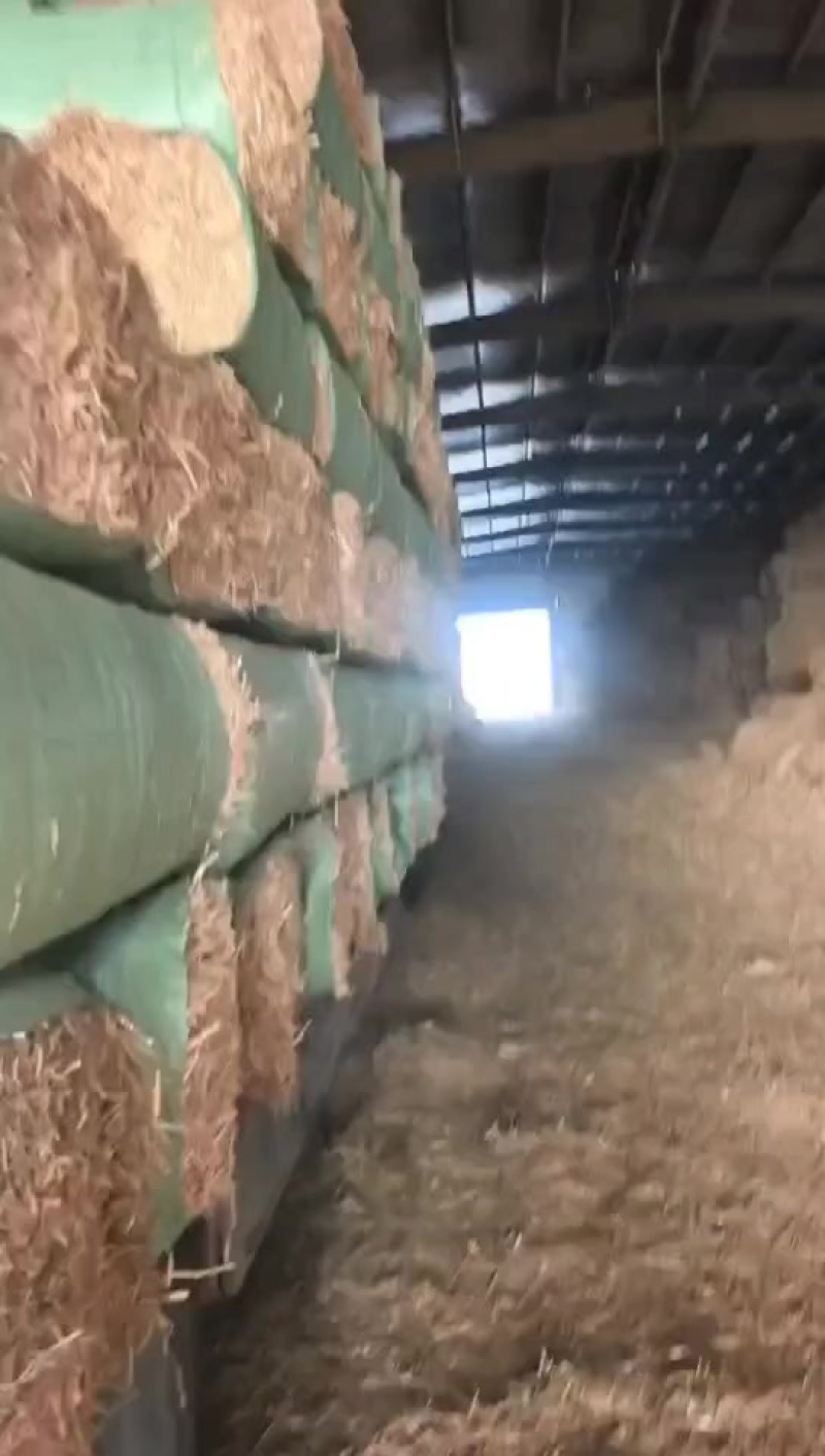 小麦秸秆柔丝套袋
