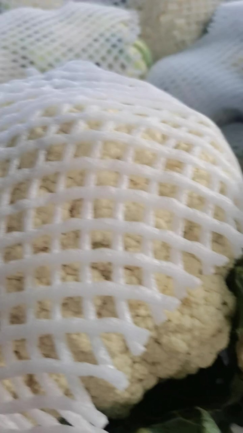 精品花菜