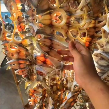 金鲳鱼干（半干）有多种规格