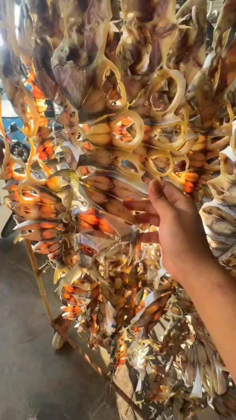 金鲳鱼干（半干）有多种规格