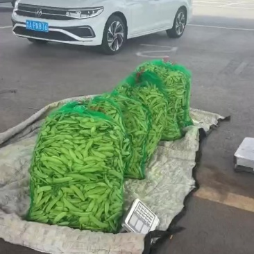怀德镇精品油豆角
