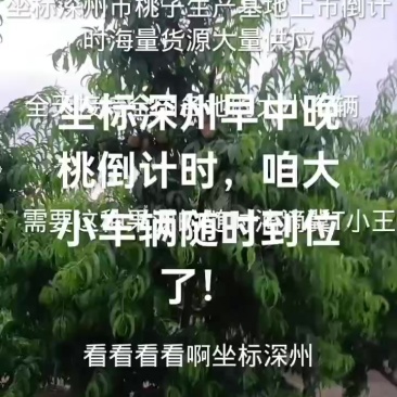 符合需求的大小车辆随时滴滴到位了！