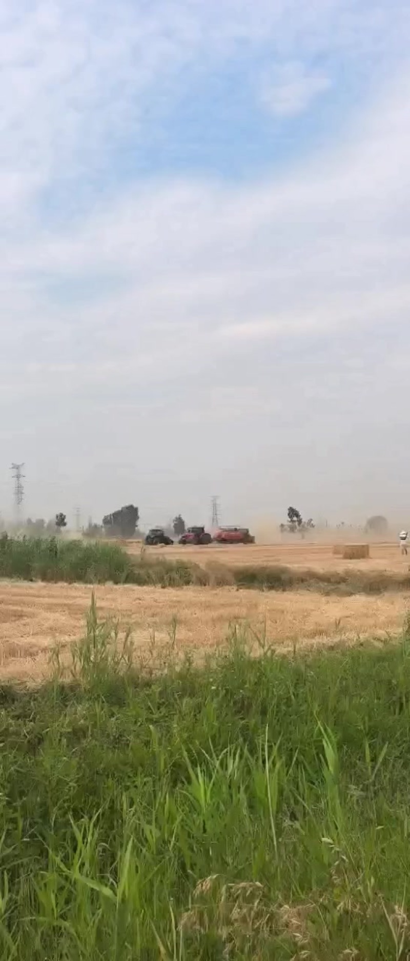 河南商丘小麦秸秆大方包