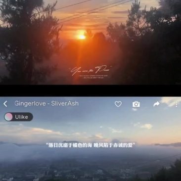 仙居农户杨梅（99江浙沪包邮荸荠杨梅）