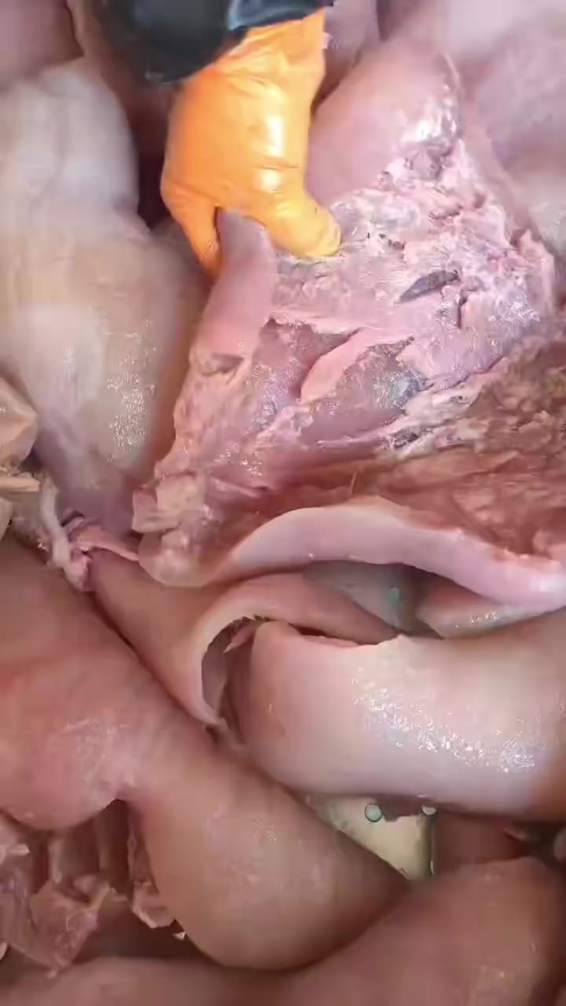 熟公牛头皮