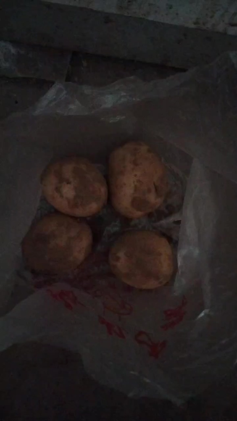 土豆