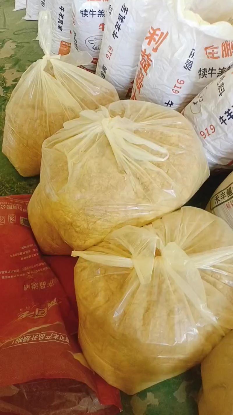 蒲黄