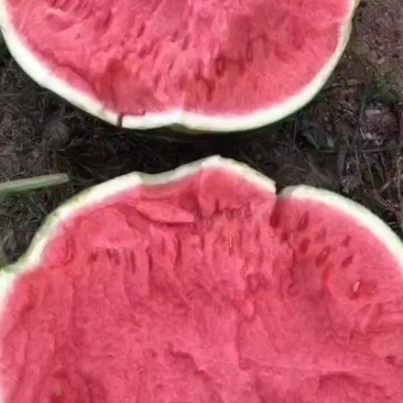 西瓜