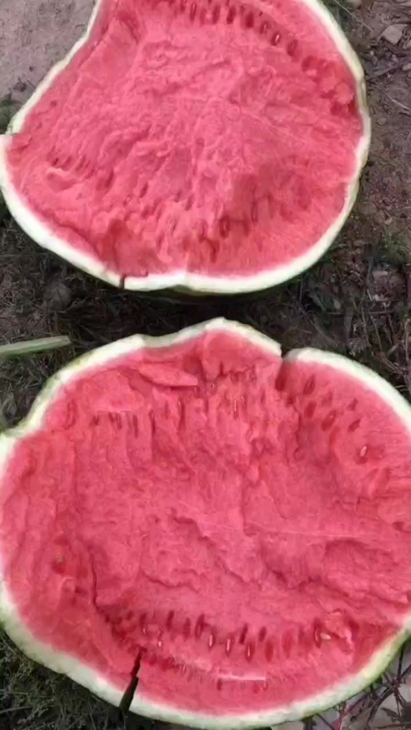 西瓜