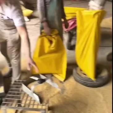 碎黄豆