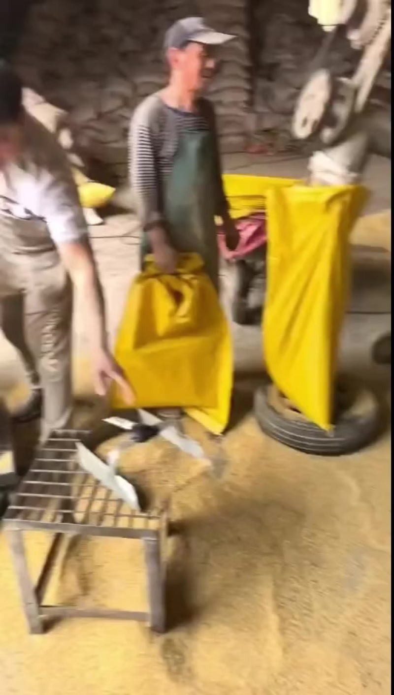 碎黄豆