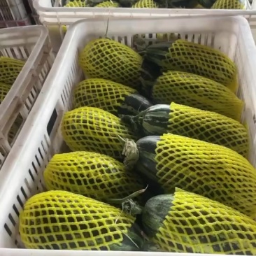 博洋九博洋六