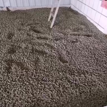 饲料螺，打电话给我