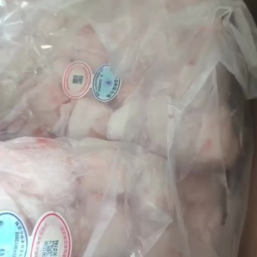 蘑菇筋