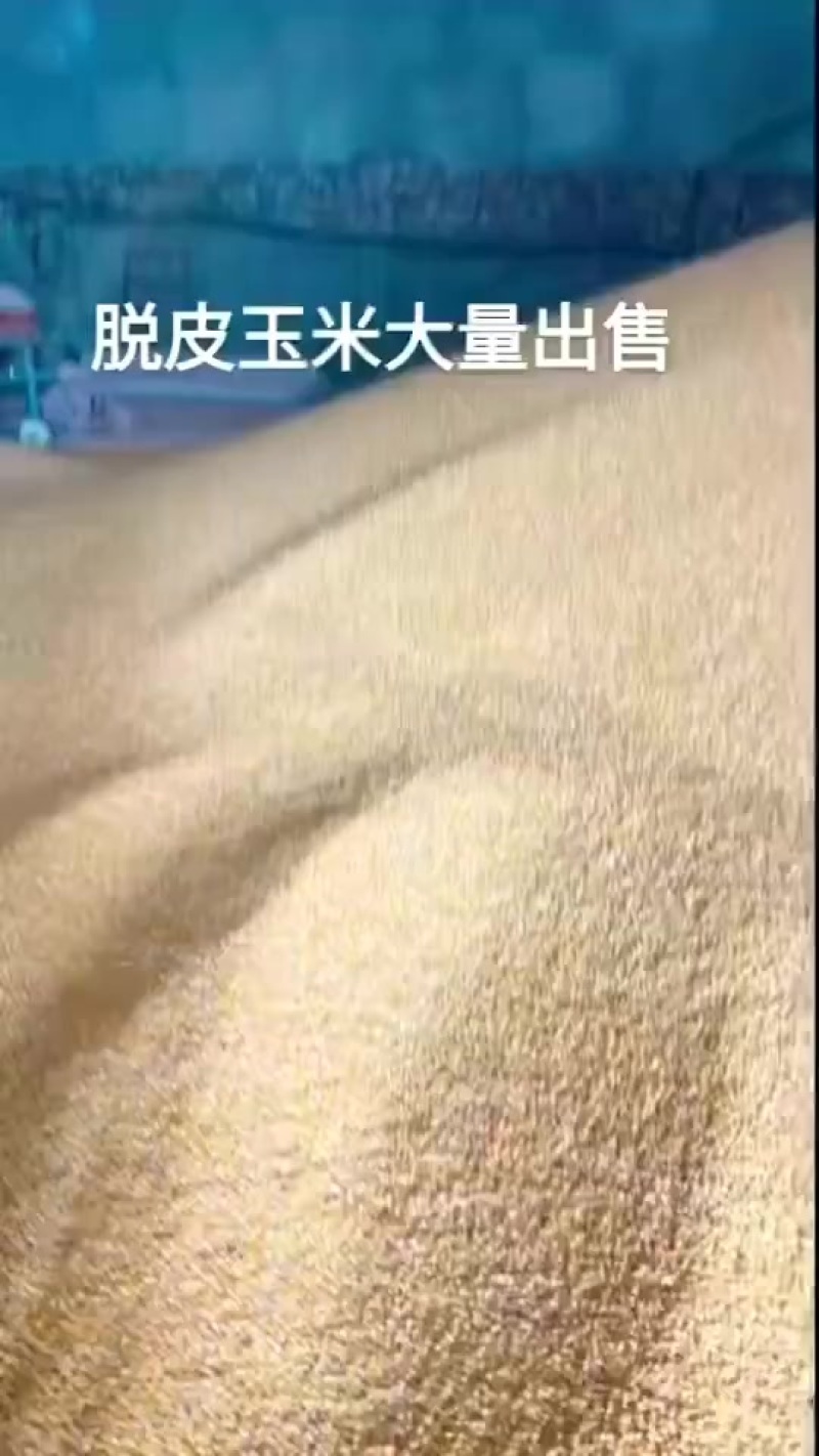 河北沧州地区小麦水分12容重790，上车1.16。国库标