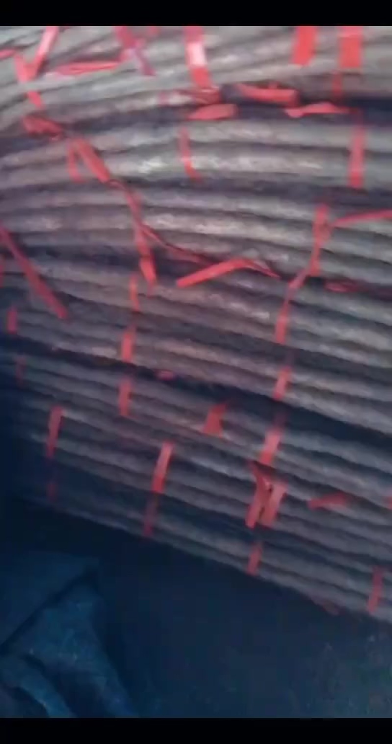 河南焦作铁棍山药