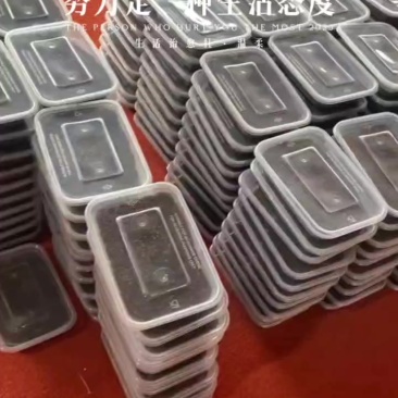 蝉蚁蝉幼苗金蝉种苗批发