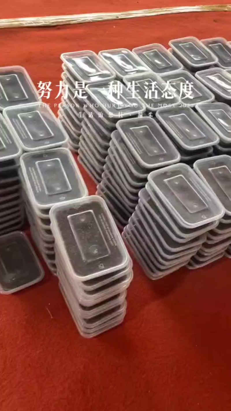 蝉蚁蝉幼苗金蝉种苗批发