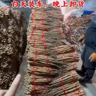 河南焦作垆土铁棍