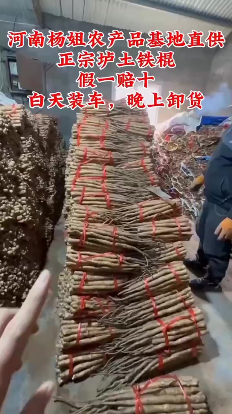 河南焦作垆土铁棍