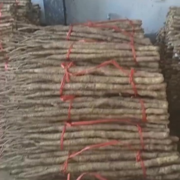 河南焦作高仿垆土铁棍