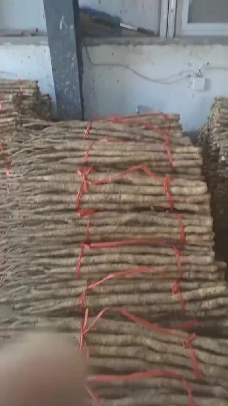 河南焦作高仿垆土铁棍