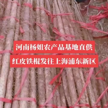河南焦作红皮铁棍
