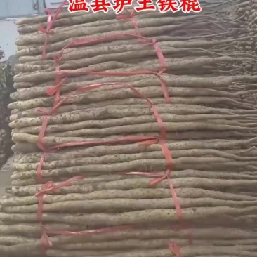 河南焦作高仿垆土铁棍
