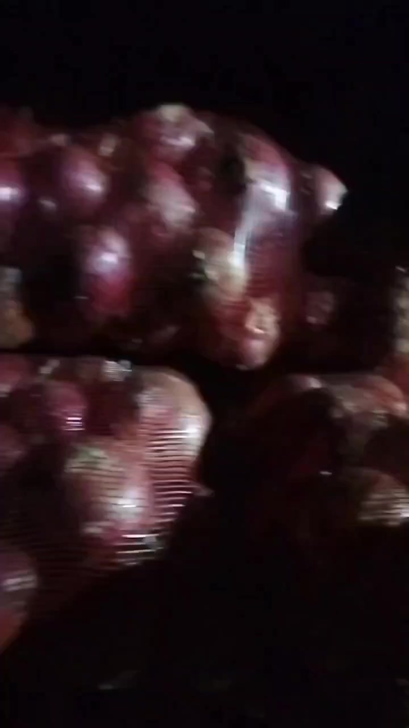 郑州市紫皮洋葱