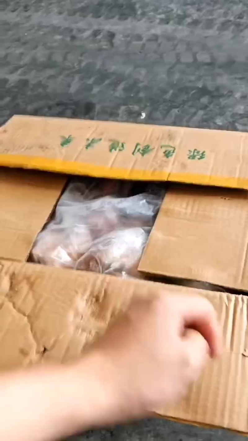 后棒骨