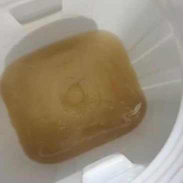 正宗自己家养殖的蜂蜜