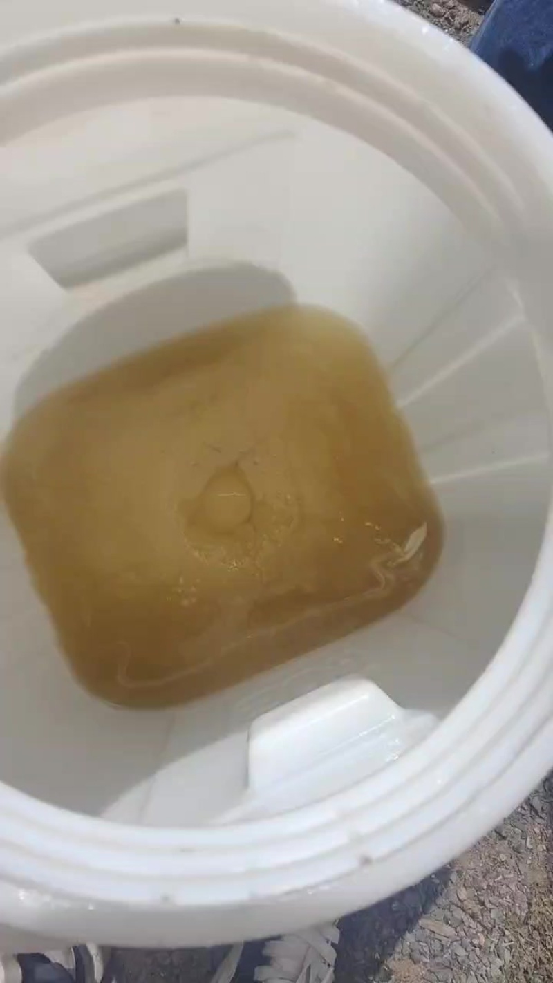 正宗自己家养殖的蜂蜜