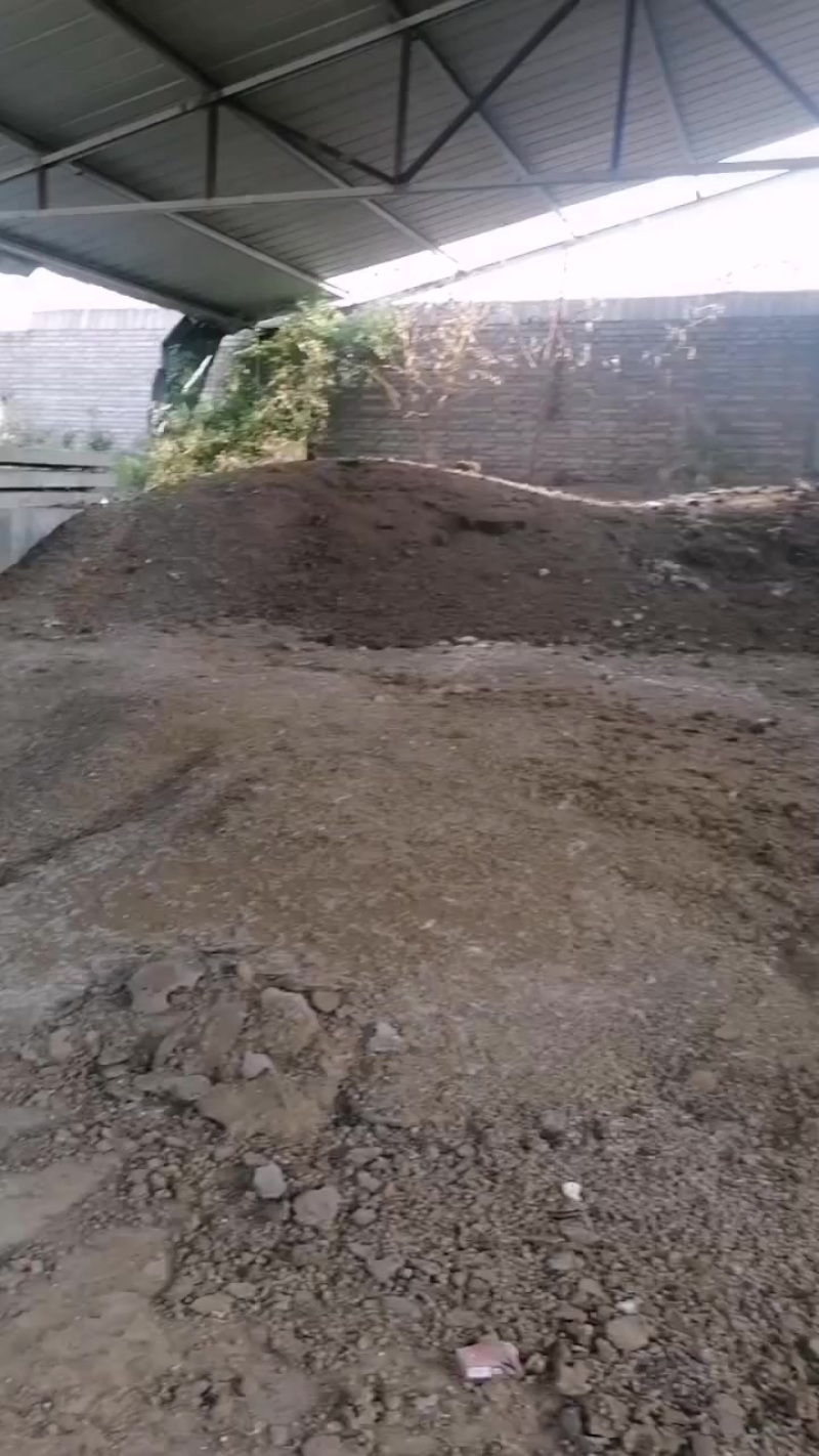 大量出兔粪***********