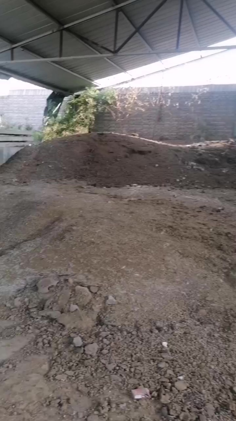 大量出兔粪***********