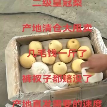 皇冠
