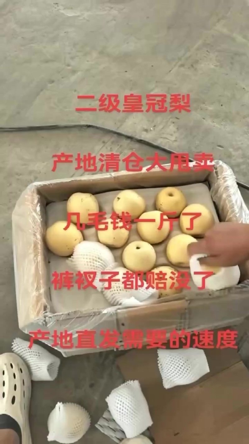 皇冠