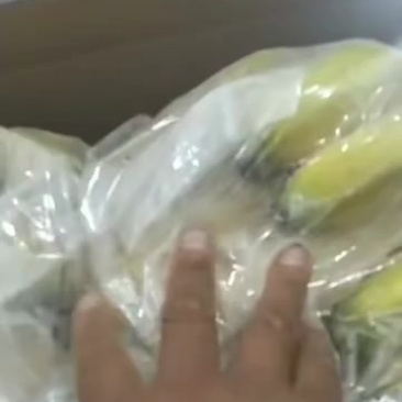 香蕉