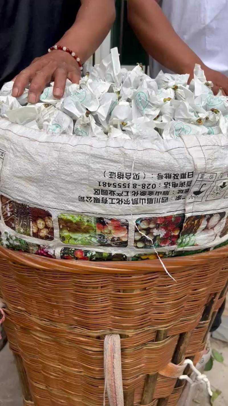 海拔1800，糖度20+，中大果，品质好货，无脱水，只做品质