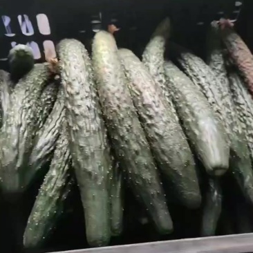 黄瓜