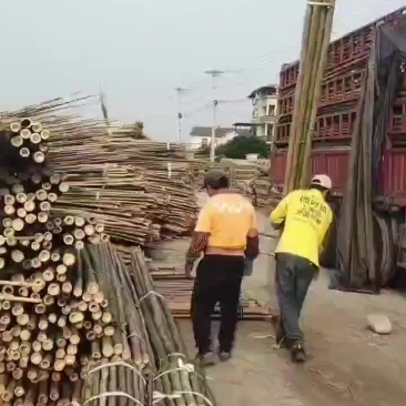 竹竿产地直发