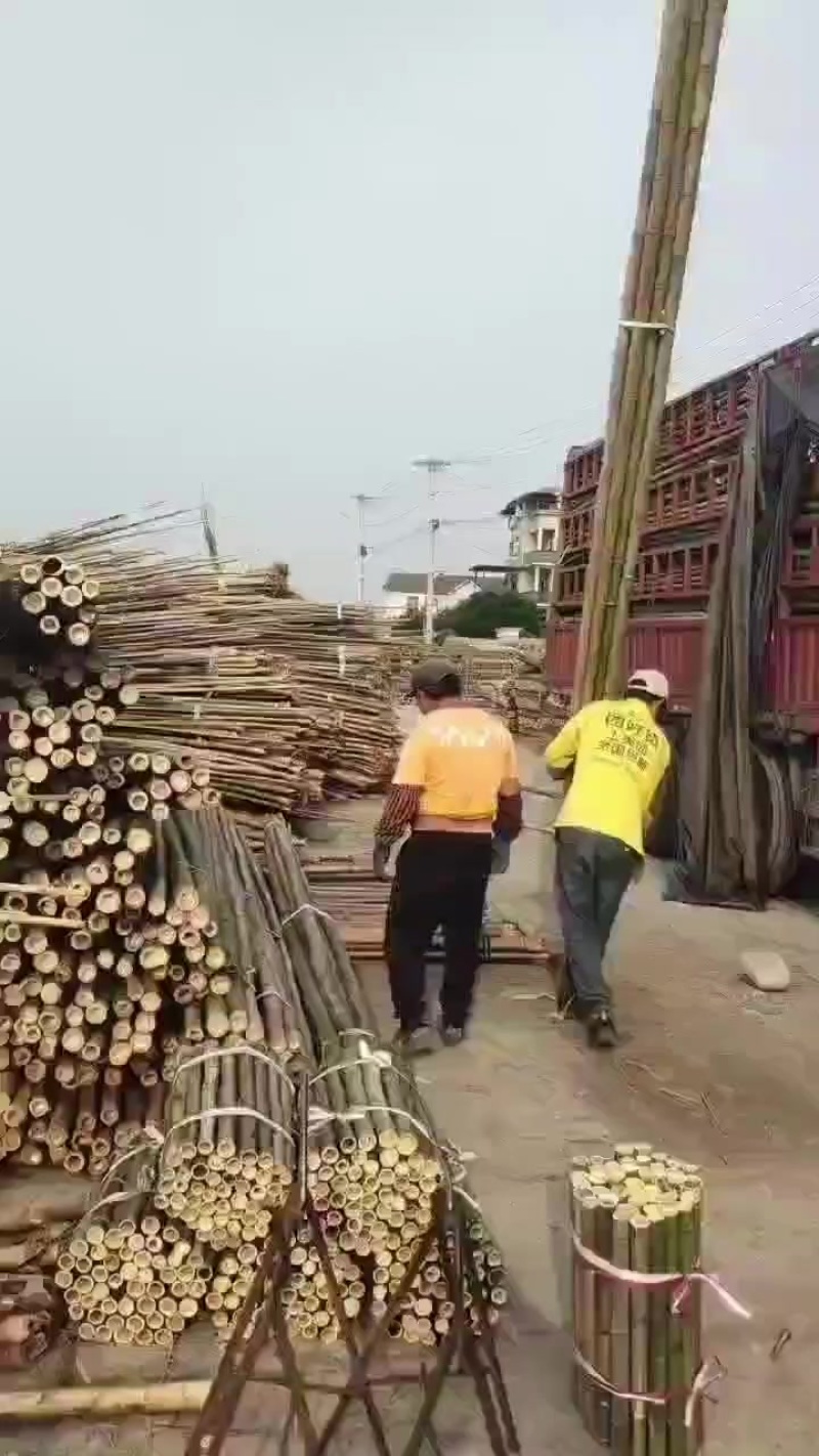 竹竿产地直发