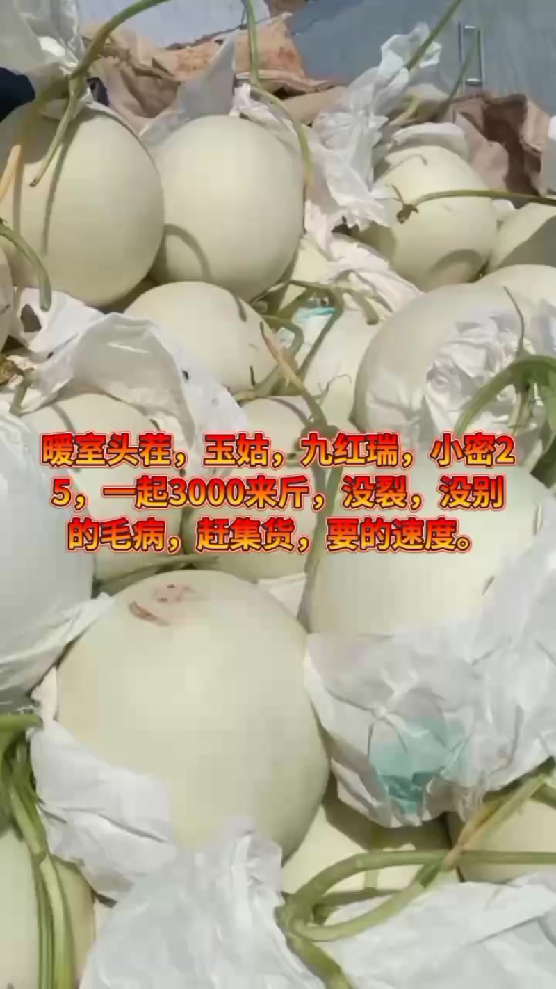 自产自销，赶集货，没裂，没其他毛病，个头偏小。