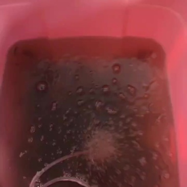 温州河虾
