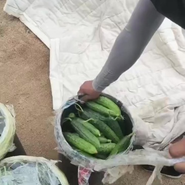 18一桶，净重27