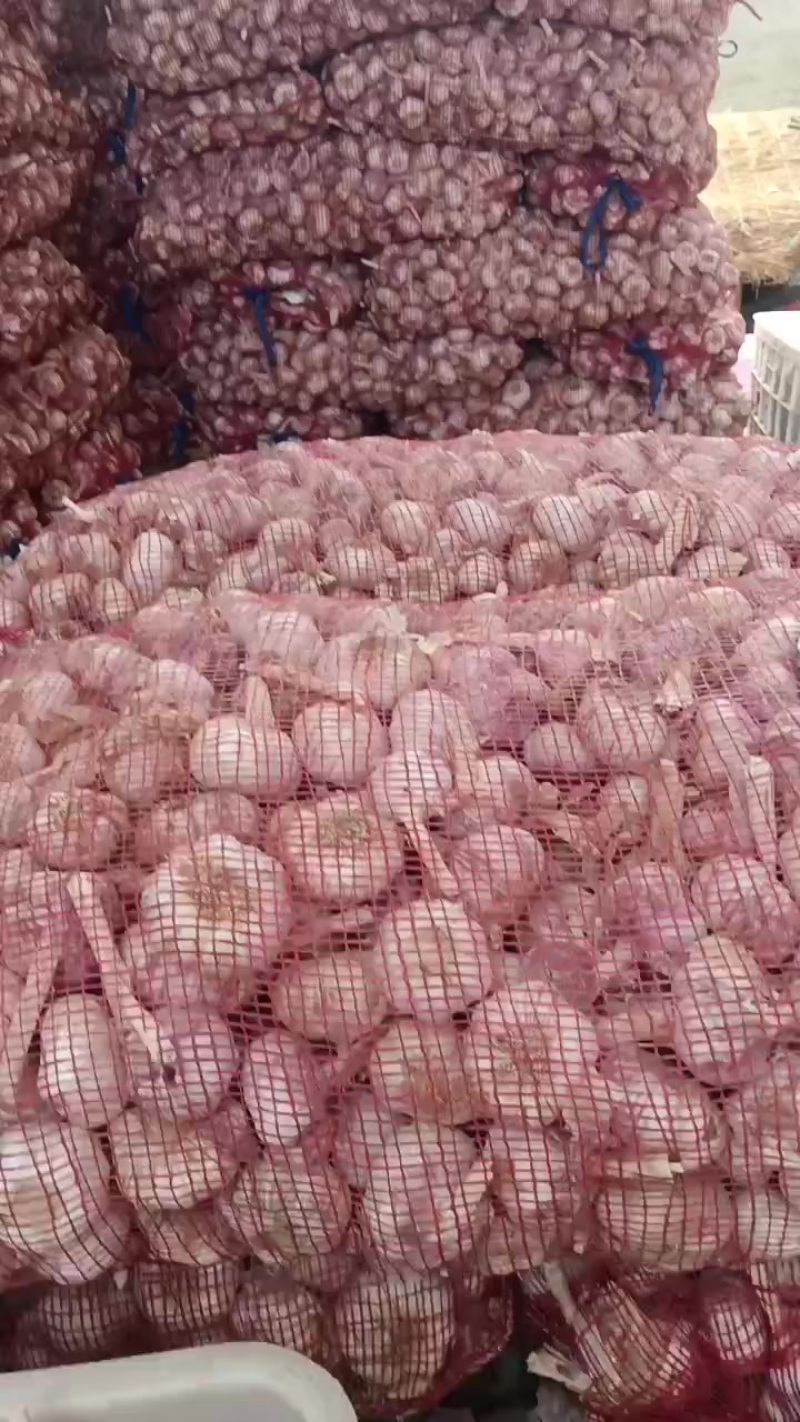 纯干蒜