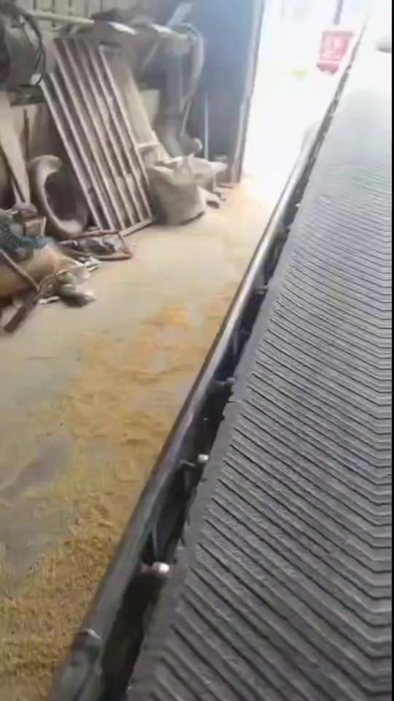 碎玉米可用于养殖鸡鸭鹅牛羊