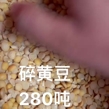 碎黄豆