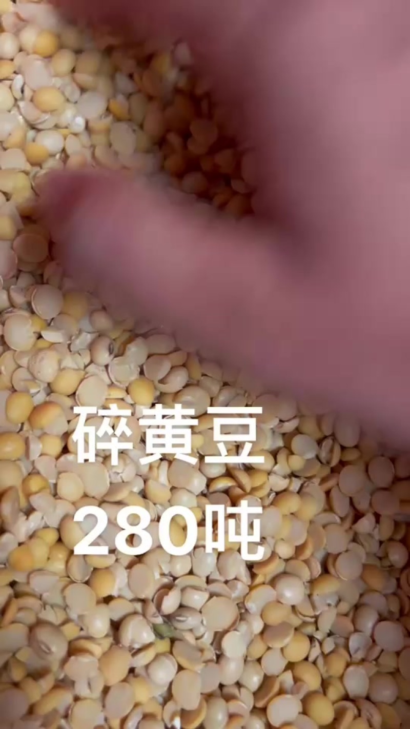 碎黄豆